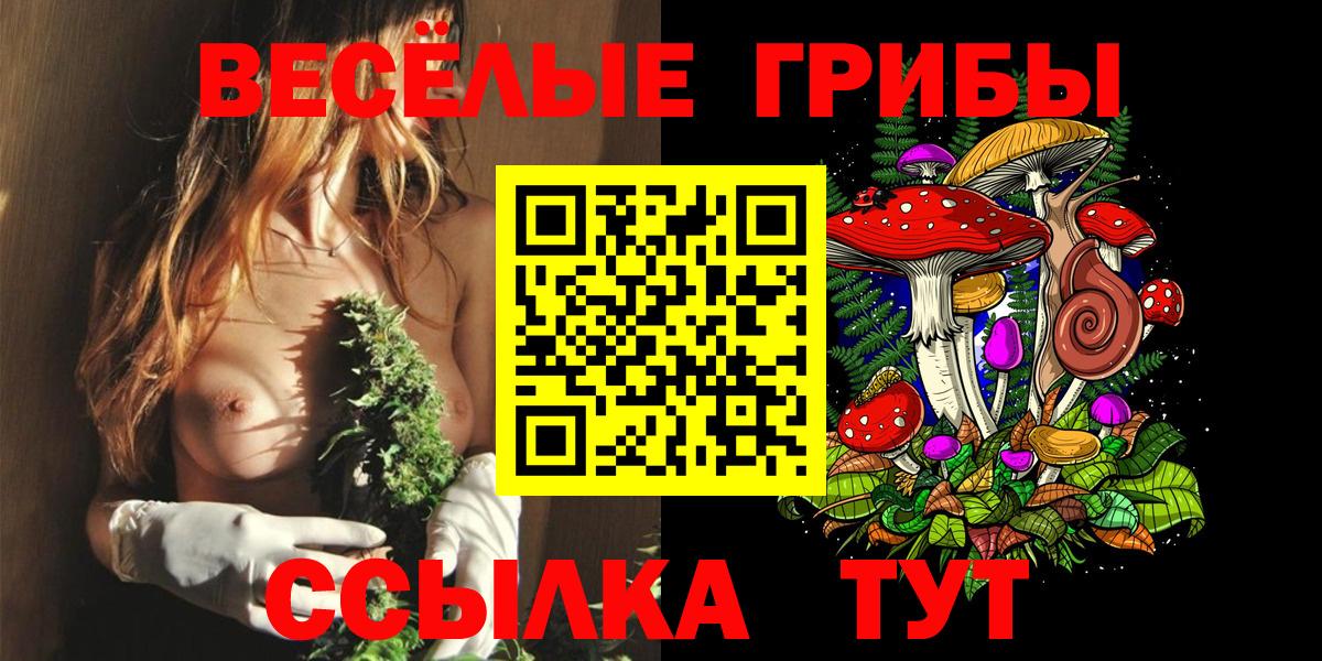 Новошахтинск  Псилоцибиновые грибы мухоморы  Вход с VPN  Галлюциногенные грибы мухоморы 