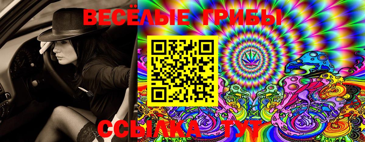 МЕТ  ГАШИШ  Экстази  COCAIN  Гашиш  Мефедрон   Вход с VPN  NBOMe  МДМА  Новошахтинск  Конопля 